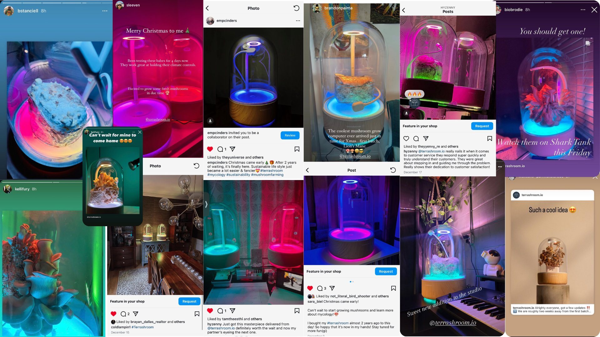 A collage of customer Instagram posts and stories showing terrashroom grow chambers in their homes
